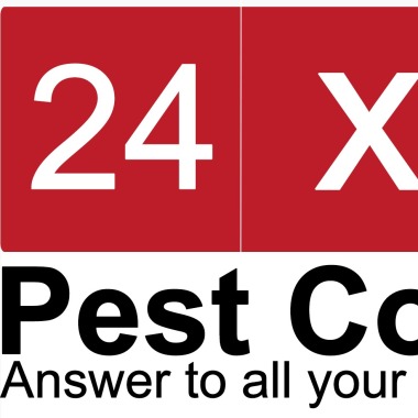 24X7 Pest Control