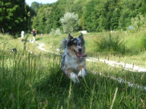 Aramis bei seinem 1. Fotoshooting