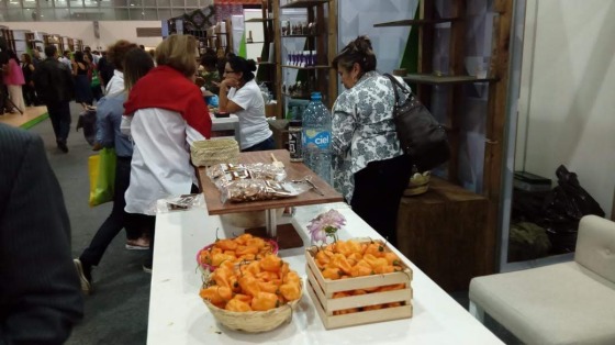 Habaneros para exportar