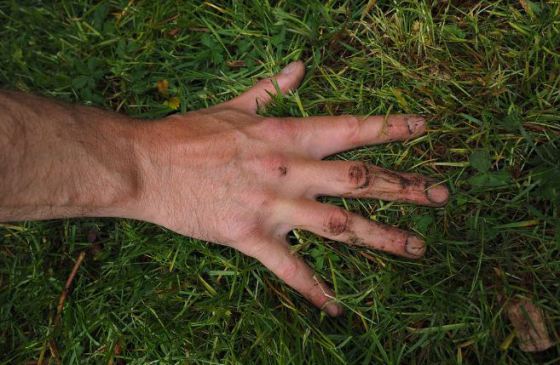 Parcs Jardins Environnement