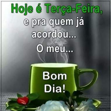 Catarina