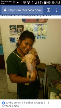 Pitbullito ....I love
