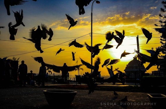A beautiful dusk!