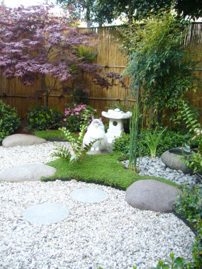 Jardin et chat Zen du cabinet de sophrologie Montreuil