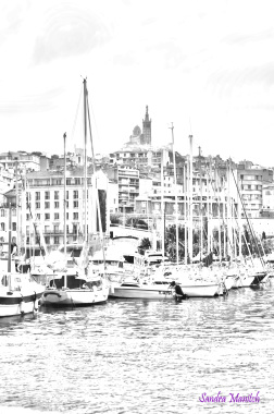Sandra Photographe