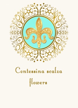 Contessina scalza FLOWERS