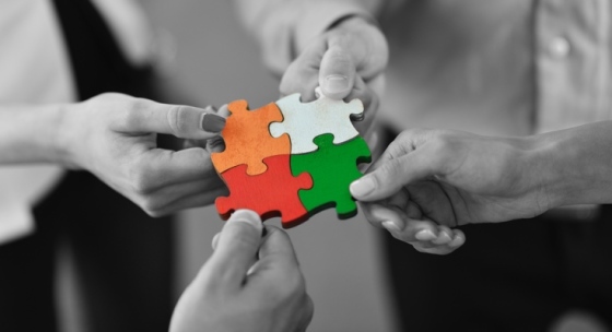 Culture Building & Talent Engagement