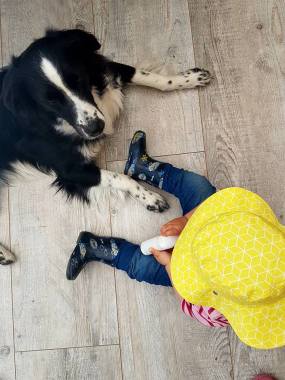 Relation Enfant/Chien