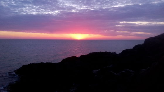 IMG_20170523_061441.jpg