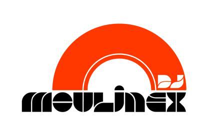 Dj Moulinex