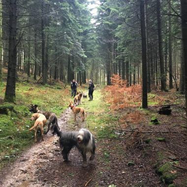 l'une de nos nombreuse balades en forêt