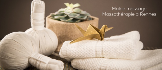 www.maleemassage.fr