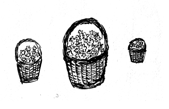 basketsmartahoskins.jpg