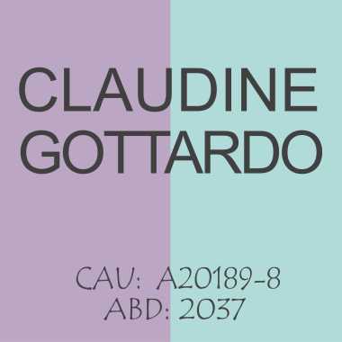 Arquitetura E Engenharia Claudine Gottardo