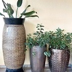 Urbanos - Vasos Ornamentais E Paisagismo