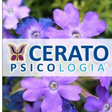 Cerato Psicologia