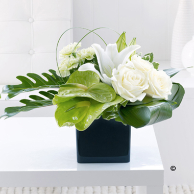 Cream & Browns Florist