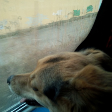 Luca