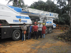 PERFORMANCE   AMBIENTAL 
corte e podas de arvores jardinagem e paisagismos somos uma empresa especializada orçamento sem compromisso www.performaceambiental.com.br
