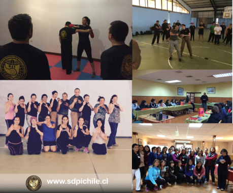 Defensa Personal para Mujeres
www.sdpichile.cl