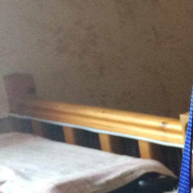 Vero.Toilettage A Domicile