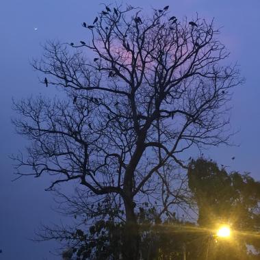 Rahul My Passion Is Photo