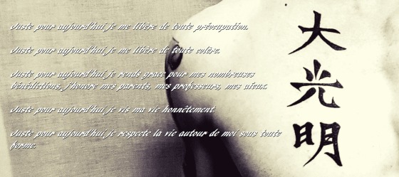 Les 5 principes du Reiki
