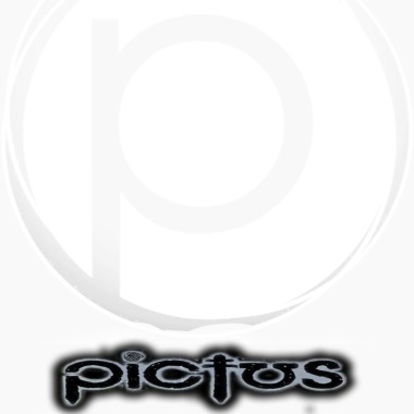 Pictuss Gallery