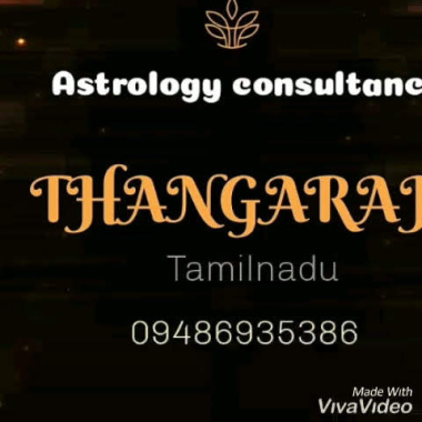 Professional: Thangaraju Astrologer