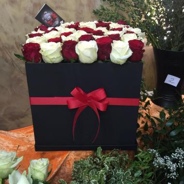 Blumen Fair Lady - Elkosh Ahmed