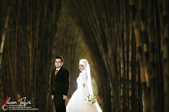 from the prewedding mahendra+olivia