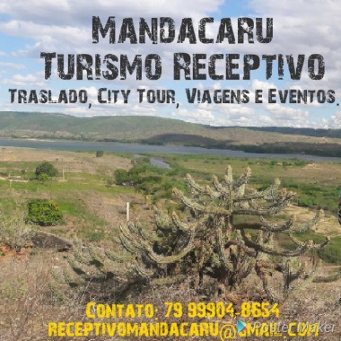 Mandacaru Receptivo