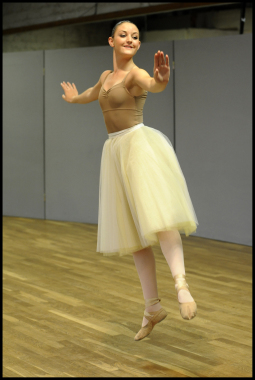 Danse classique, technique et répertoire