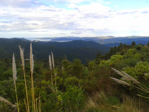 20150405_160652.jpg