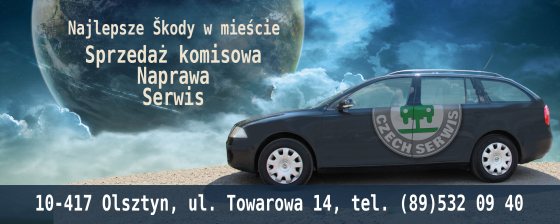 najlepsza skoda w miescie czech-serwis warsztat samochodowy serwis specjalizacja skoda.jpg