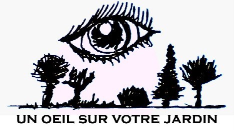 Un Oeil Sur Votre Jardin