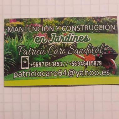 Patricio Caro Sandoval