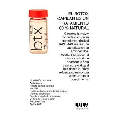 Botox Capilar 