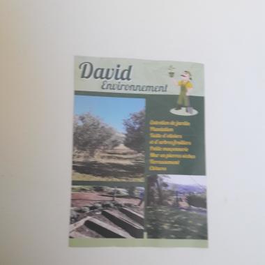 David Environnement