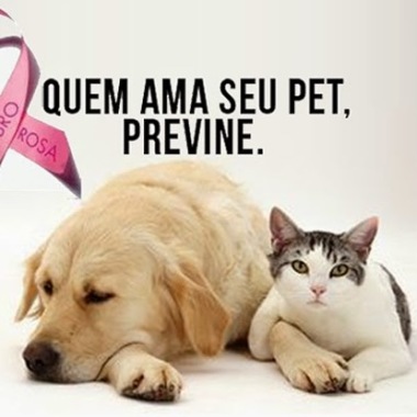 Clínica Veterinária Vista Alegre