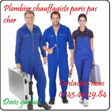 Fort de son expérience dans l’assainissement répondra à vos appels et fera le nécessaire pour intervenir 24h/24 et 7J/7 après un simple appel numéro tel 01 43 49 29 84 .