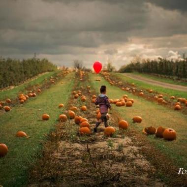 Fotografia Milena Wlazło