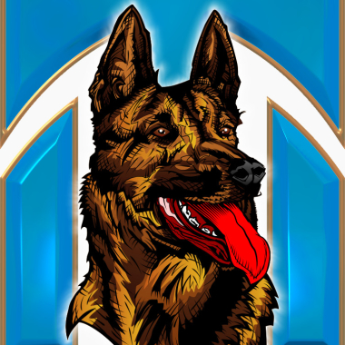 Elite Dog Training