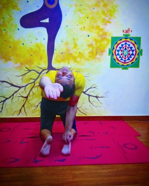 Sadhak Anshit Yoga