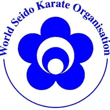 Seido Karate Classes