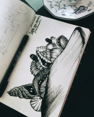 Ilustración en tinta. Conchas.
