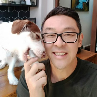 Cão A