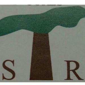 Advanced Dentistree