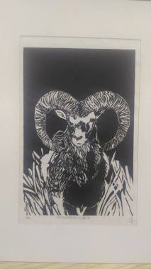 Xilogravura - Carneiro da Montanha (ilustração feita a partir de uma foto)