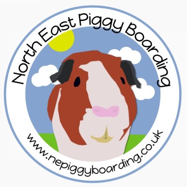 Ne Piggy Boarding